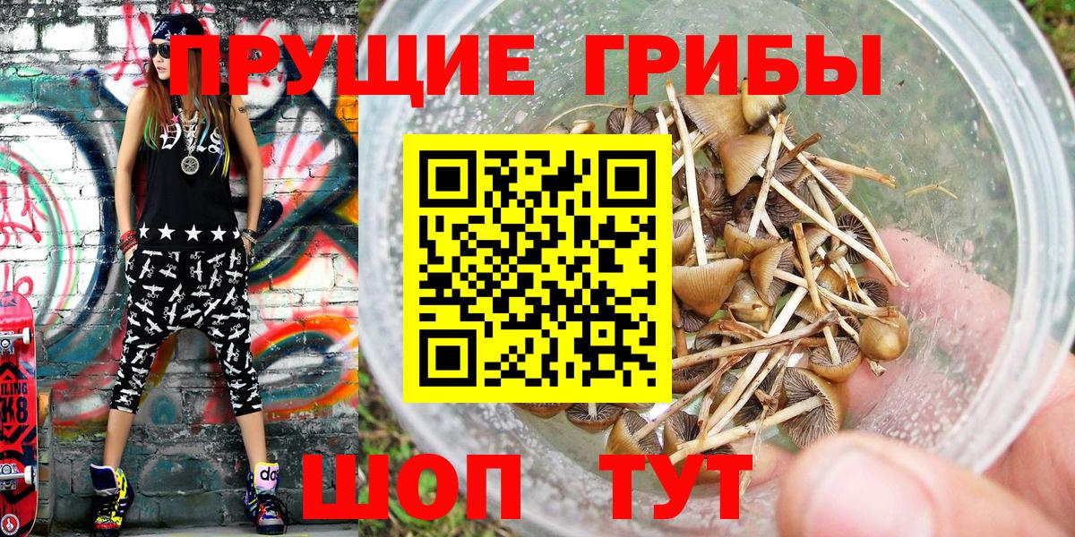 Псилоцибиновые грибы Psilocybe  Галлюциногенные грибы Psilocybe  Иваново  Вход с VPN 